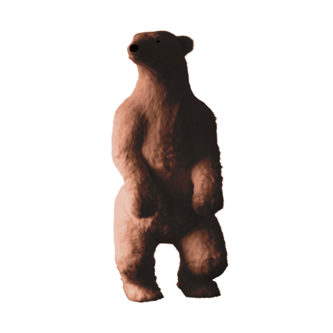 185CM OSO HENRY