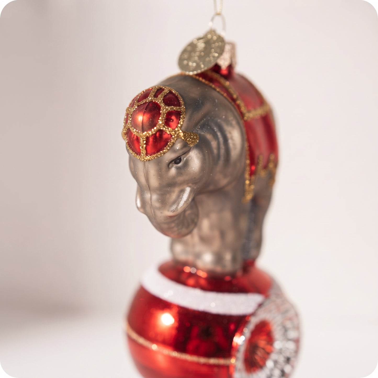 Esfera de elefante de circo