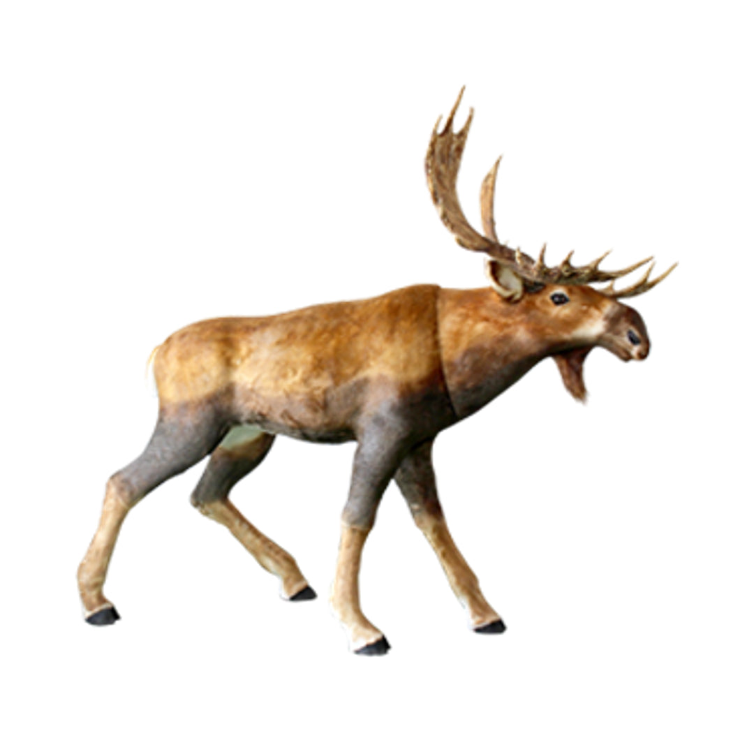 160H RENO RUDOLPH