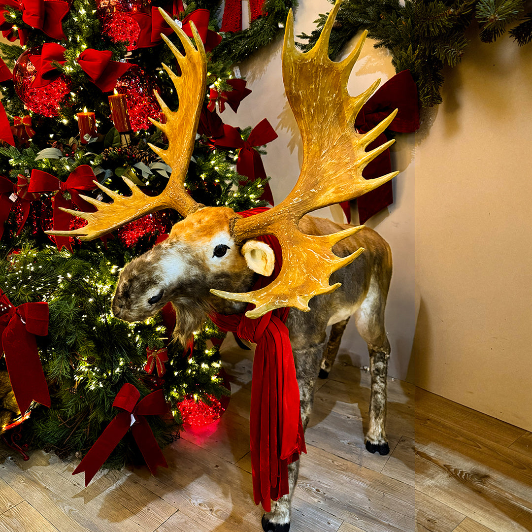 160H RENO RUDOLPH