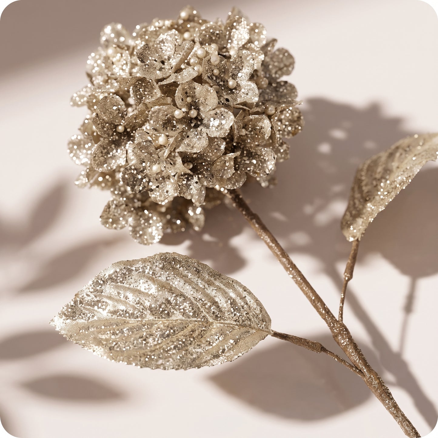 Rama de hortensia