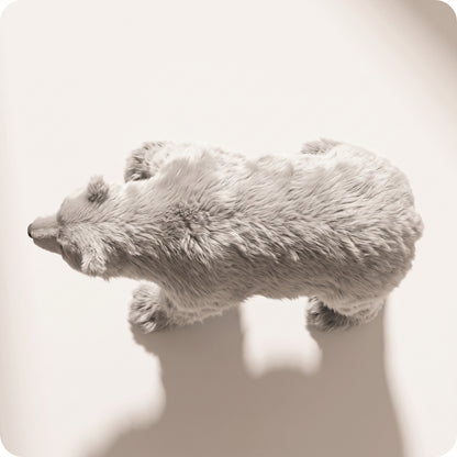 Oso polar pequeño sebas