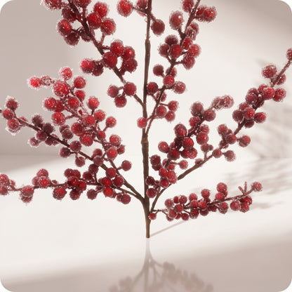 Rama de berries rojas con hielo