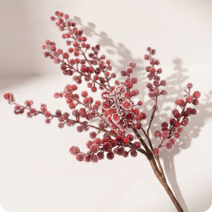 Rama de berries rojas con hielo