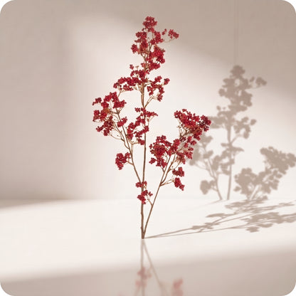Red Berry Spray