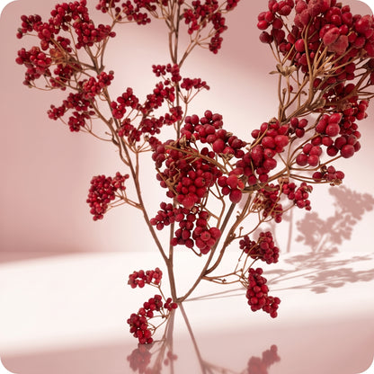 Red Berry Spray
