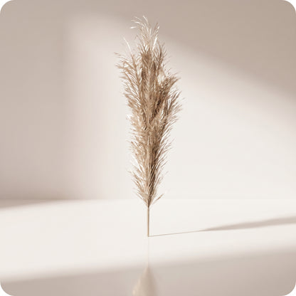 Vara de pluma metálica para césped, champán
