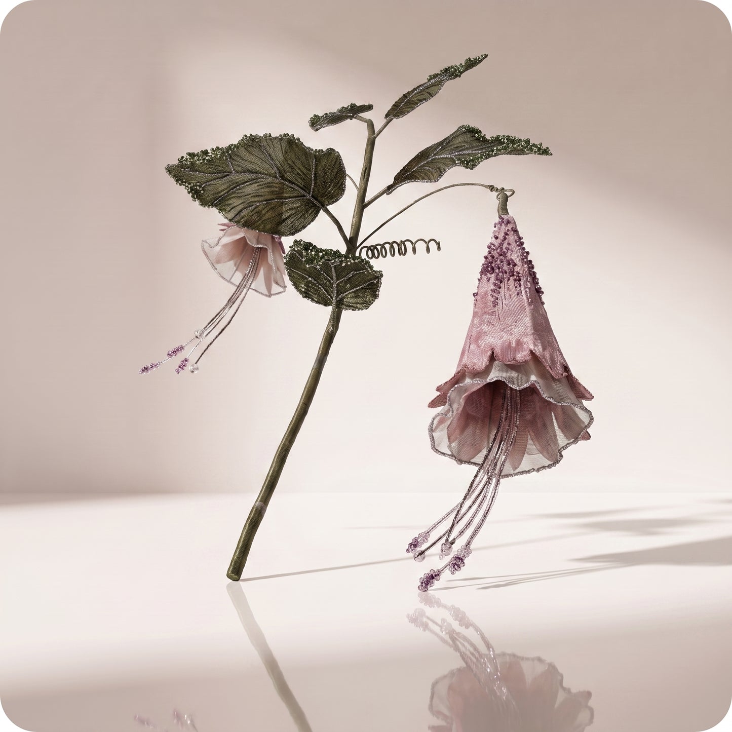 Rama de hoja morning glory