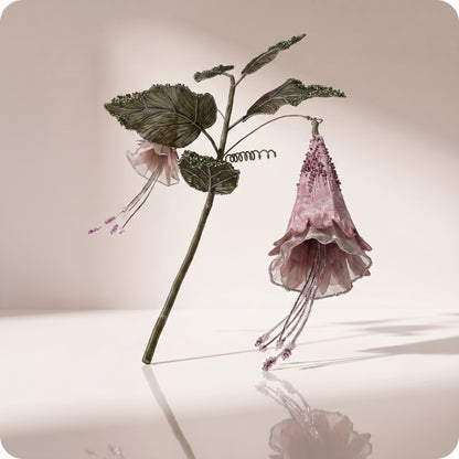 Rama de hoja morning glory