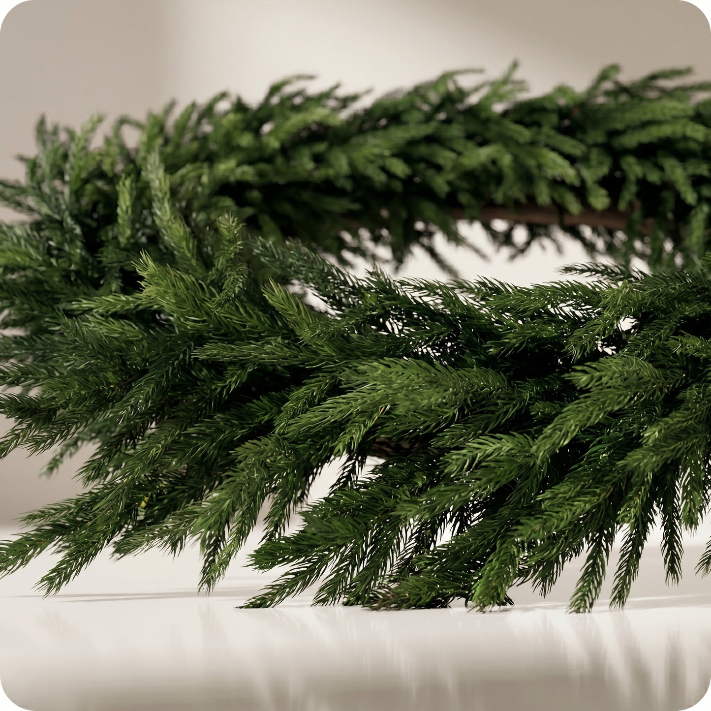 Real touch forest norfolk corona de pino
