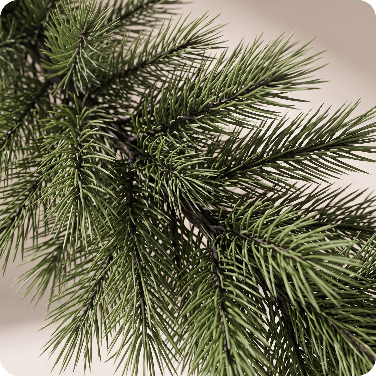 Guirnalda de pino verde de los apalaches