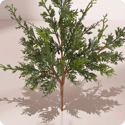 Rama juniper con berry spray
